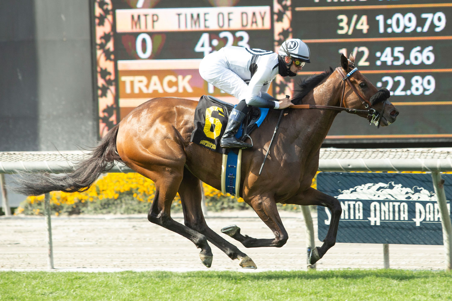 Foto: Santa Anita - Sebastián Bravo
