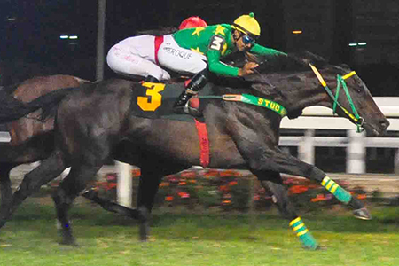 - Staff Haras Cuatro Piedras