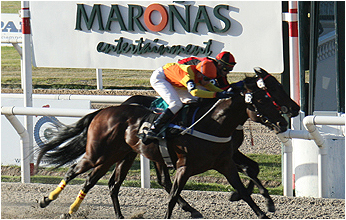 Foto: Maroñas Entertainment - Francisco A. Arellano Georgudis
