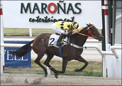 Foto: Maroñas Entertainment - Francisco A. Arellano Georgudis