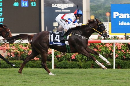  Foto: Singapore Turf Club - Staff elTurf.com