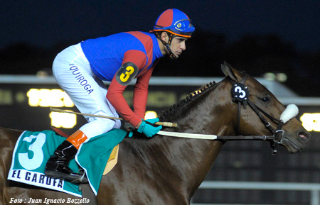Foto: Juan Ignacio Bozzello - Staff Haras Cuatro Piedras