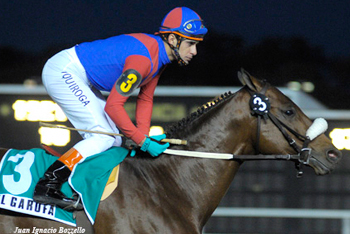 Foto: Juan Ignacio Bozzello - Staff Haras Cuatro Piedras