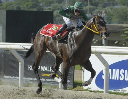  Foto: Juan Ignacio Bozzello - Por Francisco Salazar Cosialls