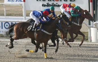  Foto: Maroas Entertainment - Por Francisco Salazar Cosialls
