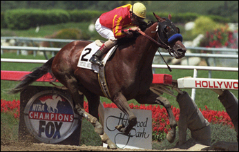Foto: HorsePhotos.com - Por Francisco Salazar Cosialls