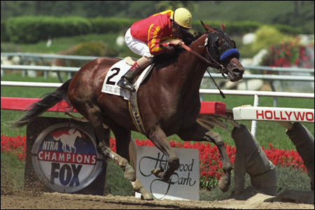 Foto: HorsePhotos.com -