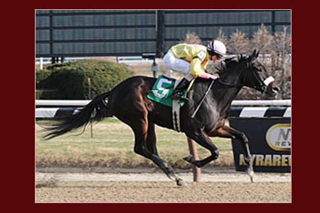 Foto: Coglianese Photos - Staff elTurf.com