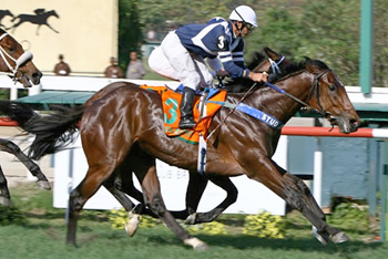 Foto: brasilturfe.com.br - Staff Haras Cuatro Piedras